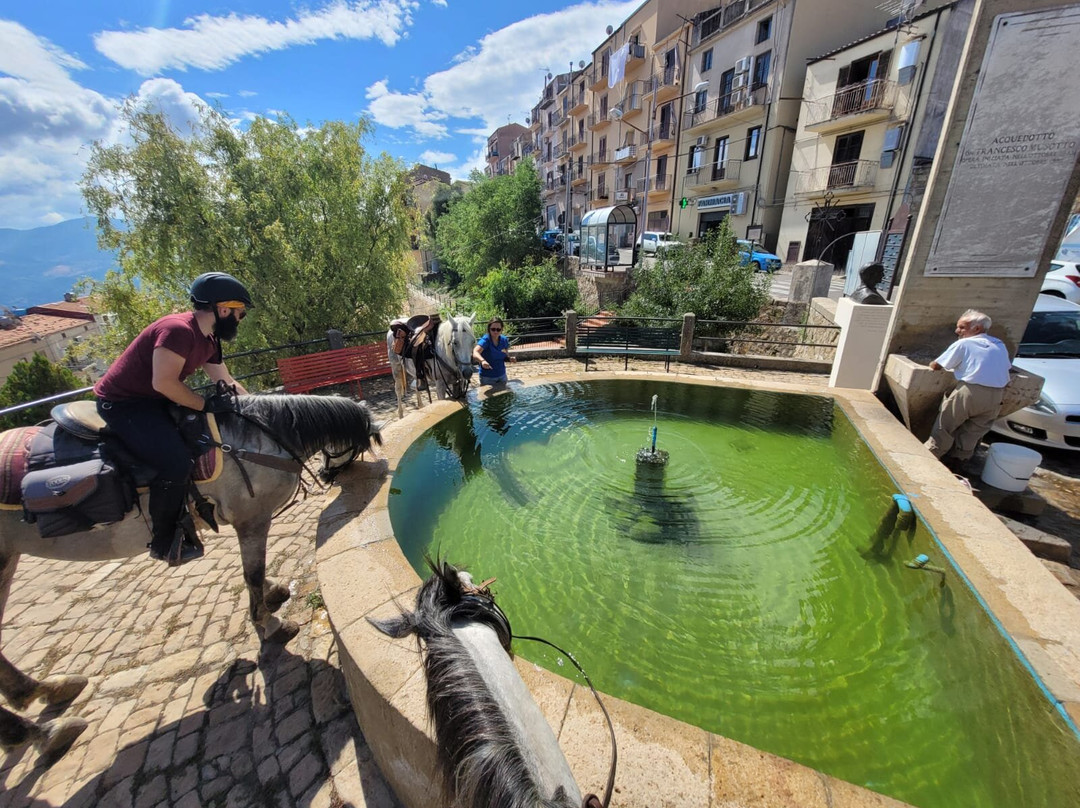 Sicily Horse Tours景点图片