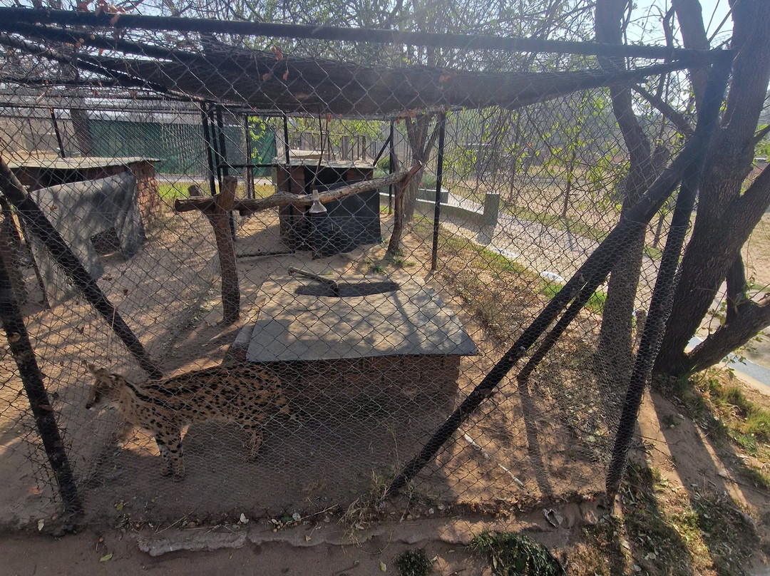 Eventieria Wildlife Park-瓦尔沃特必去景点