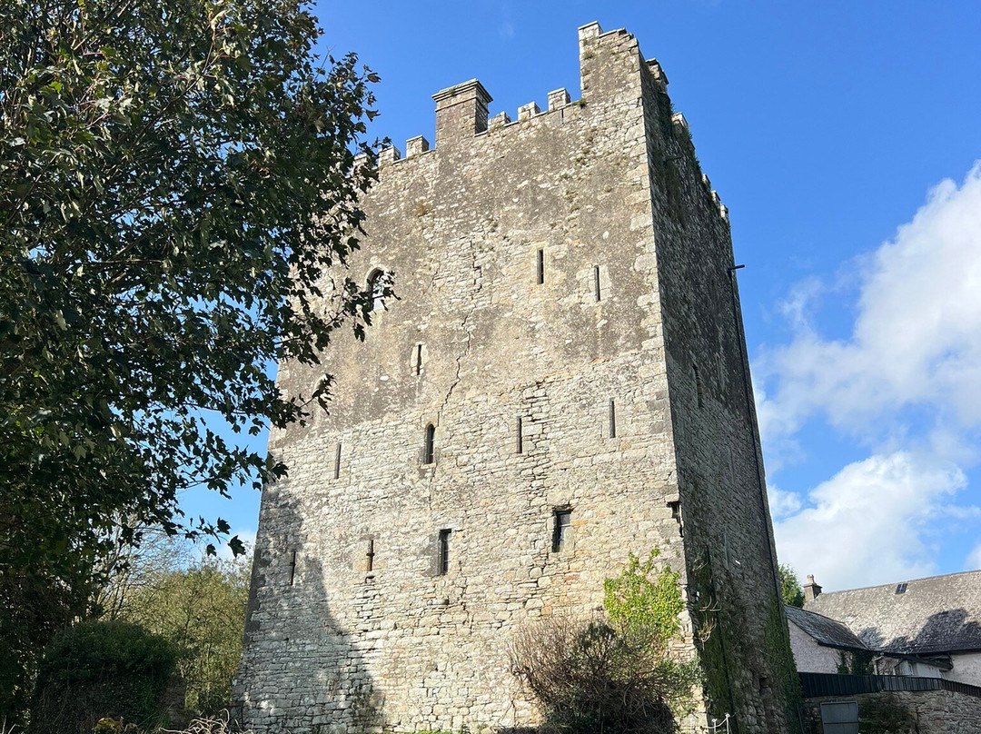 Ballaghmore Castle主图