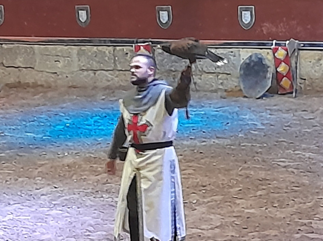 Medieval Adventure-圣克鲁斯-德特内里费必去景点