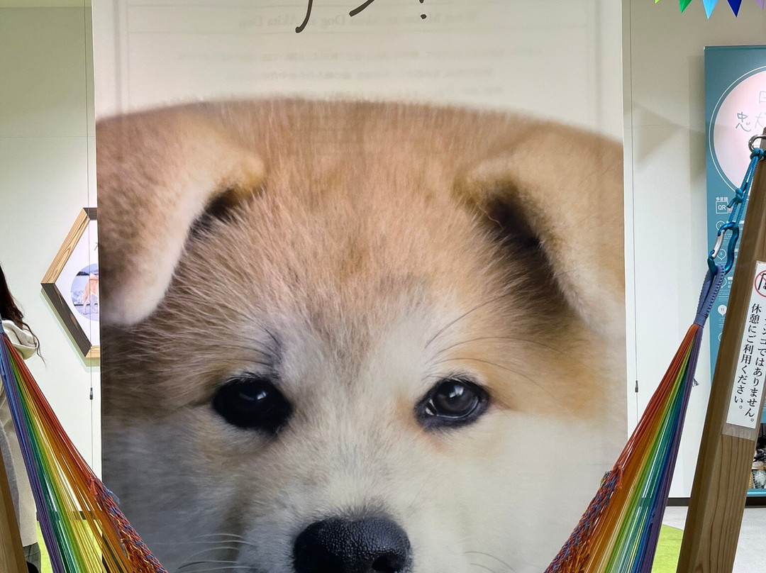 Akita Inu no Sato-大馆市必去景点