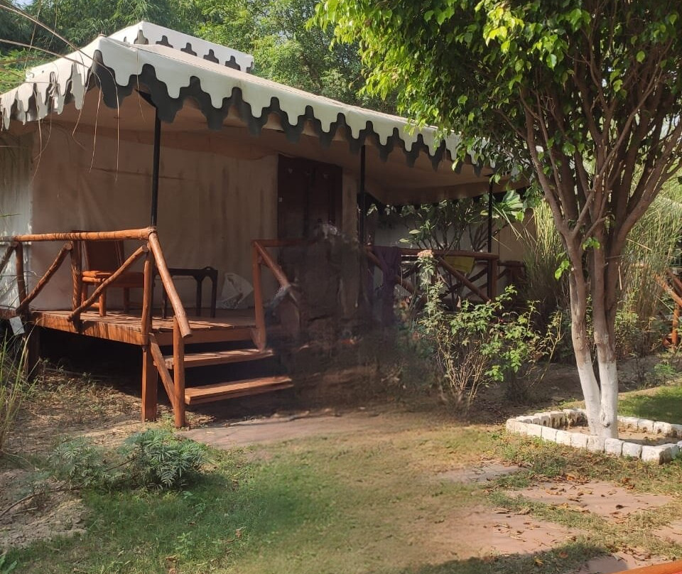 Sultan Bagh Jungle Camp主图