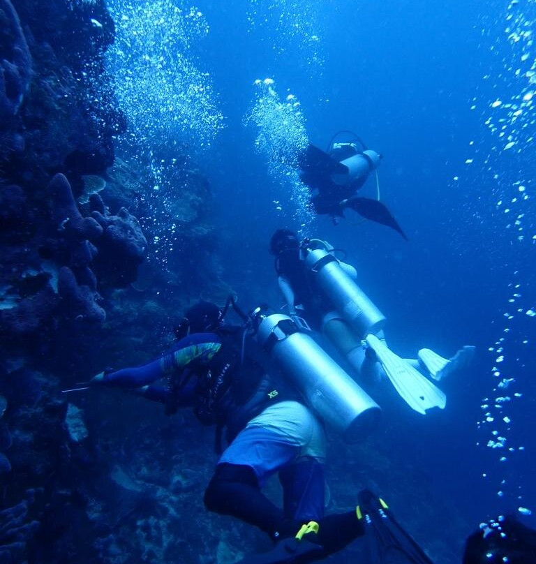 Maratua Seaview Resort主图