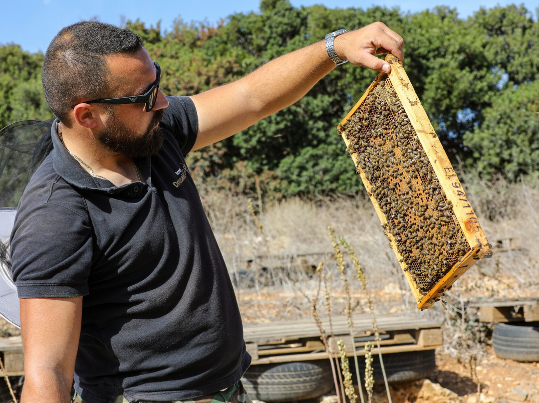 Dousakis Honey Beekeeping Tours-Rodopos必去景点