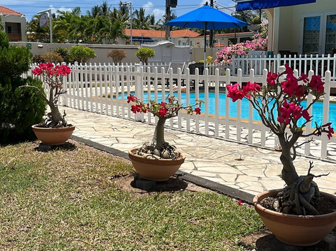 伯恩特别墅酒店主图