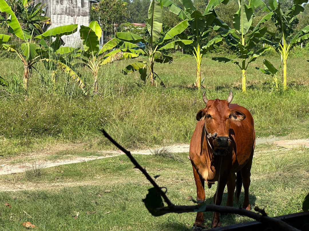 Cu Chi Boutique Farmstay主图