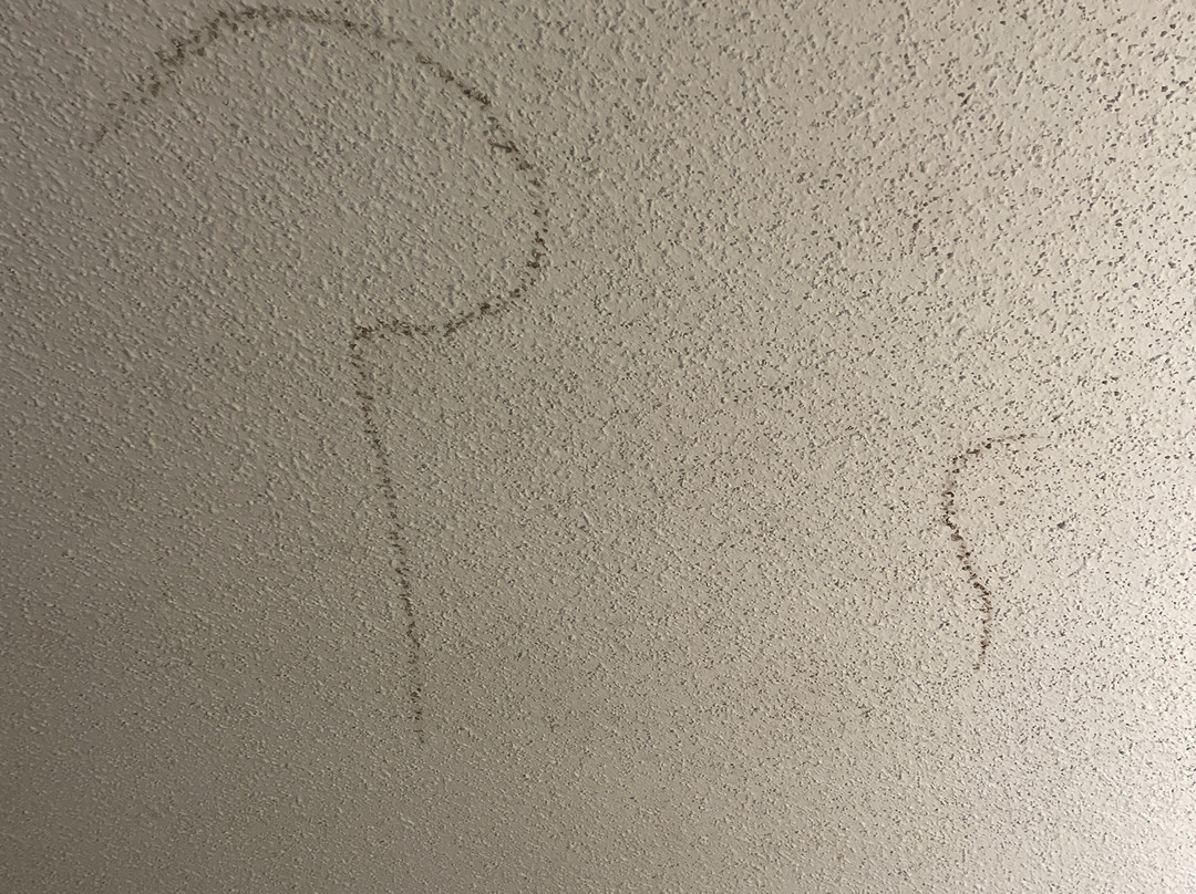 Quality Inn & Suites Metropolis I-24主图