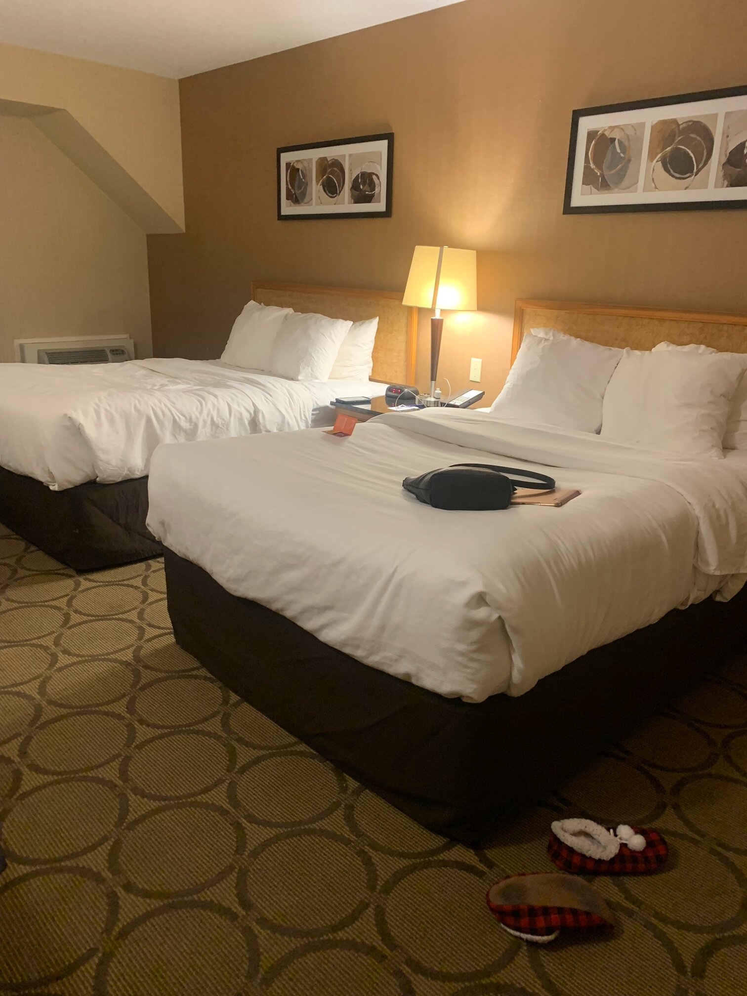 Comfort Inn Regina-客卧