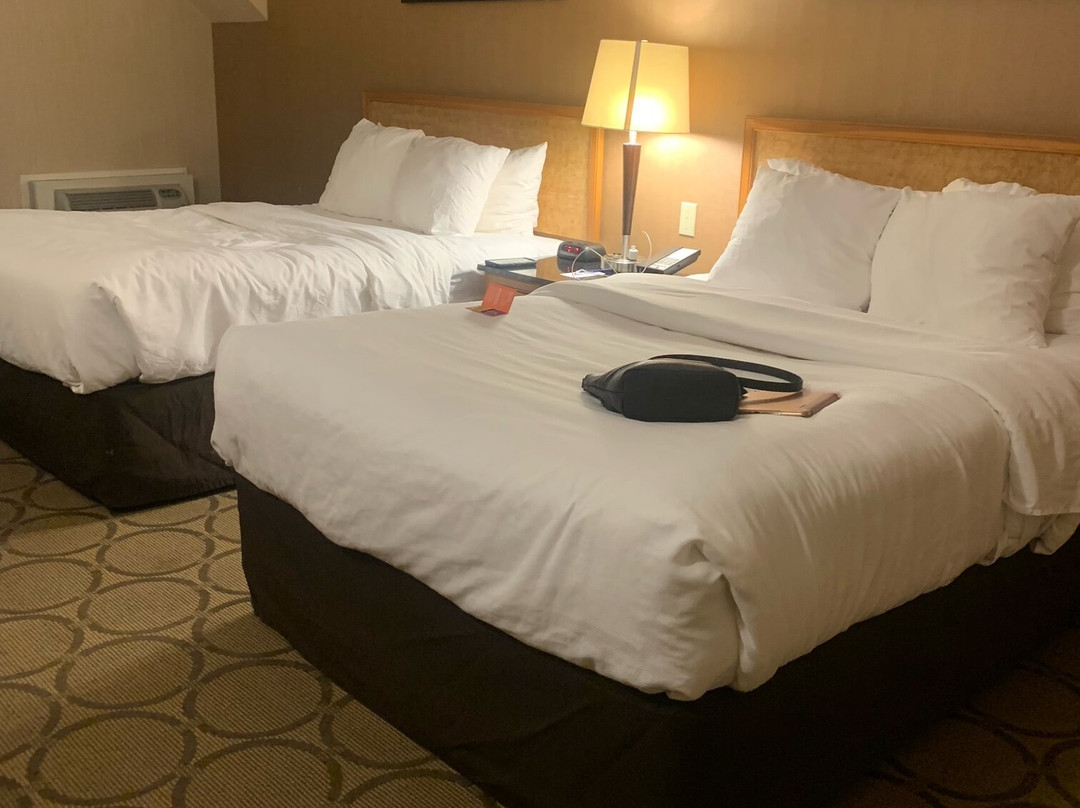 Comfort Inn Regina主图