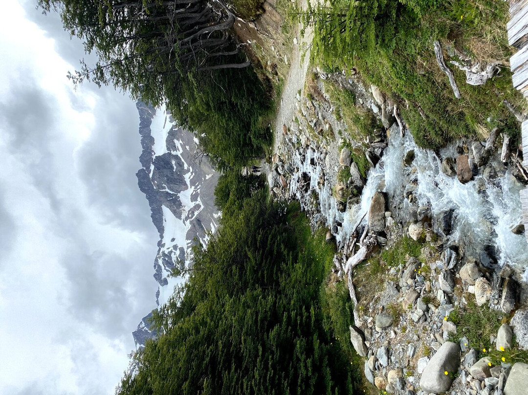 Glaciar Martial景点图片
