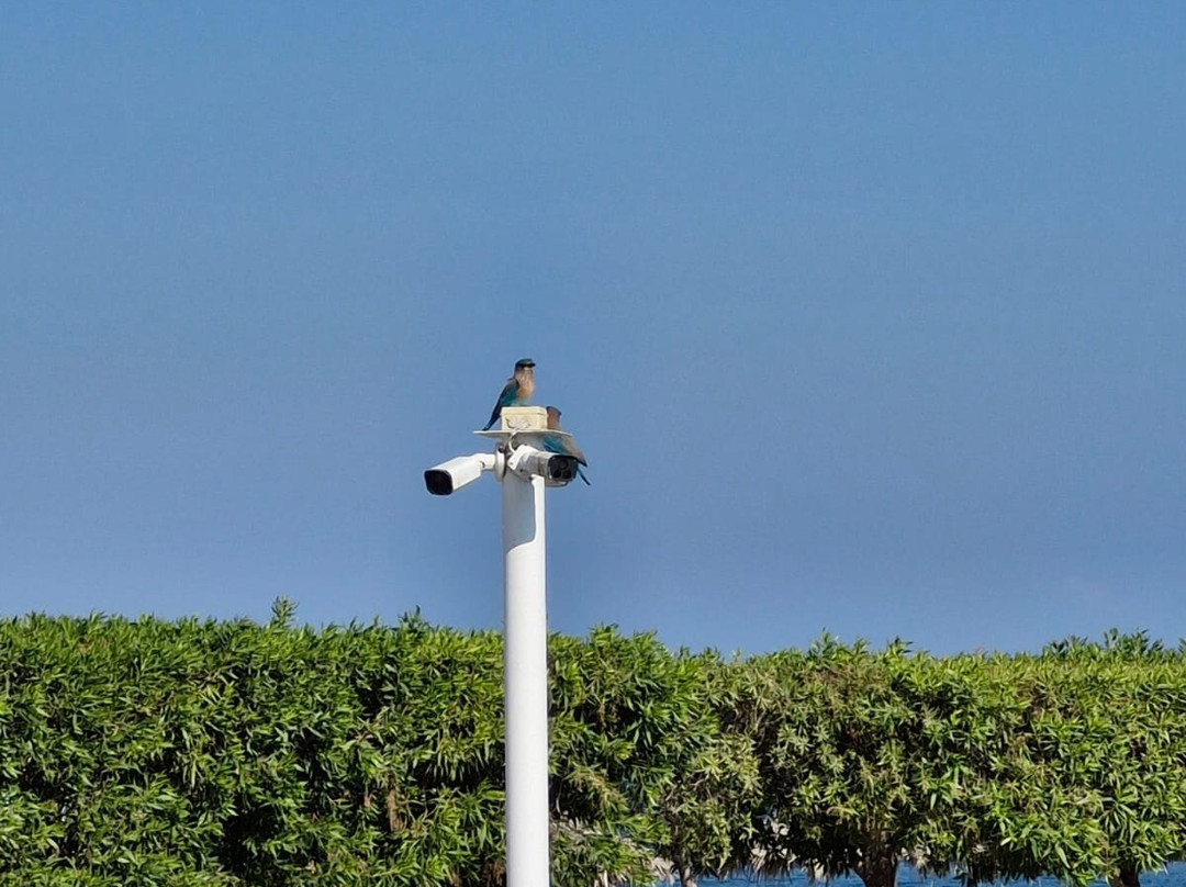 Holiday Beach Resort主图