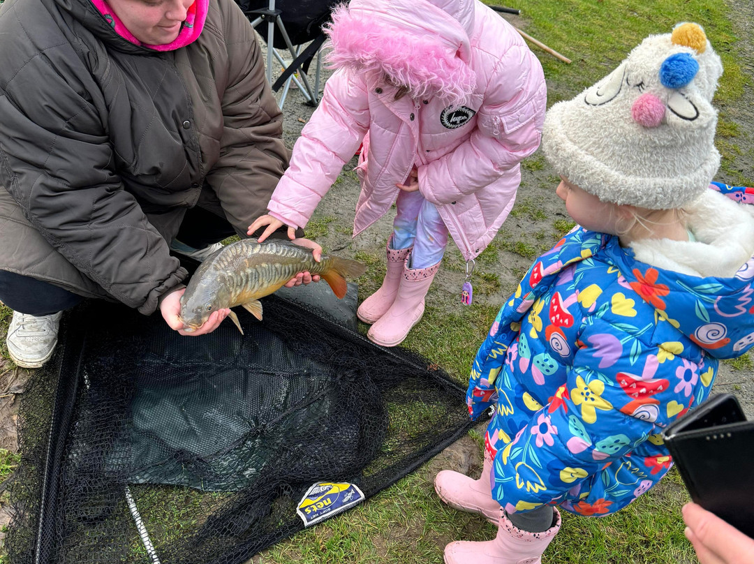 Stafford Moor Fishery-Dolton必去景点