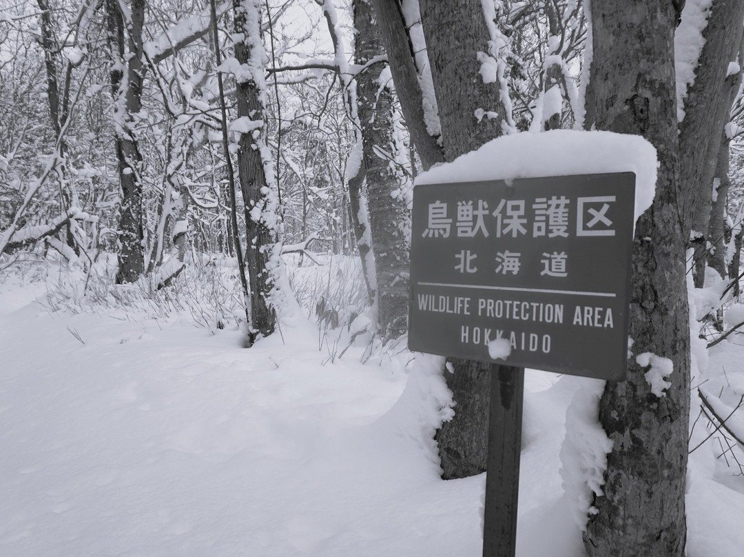 Niseko Snowshoe Tours-俱知安町必去景点