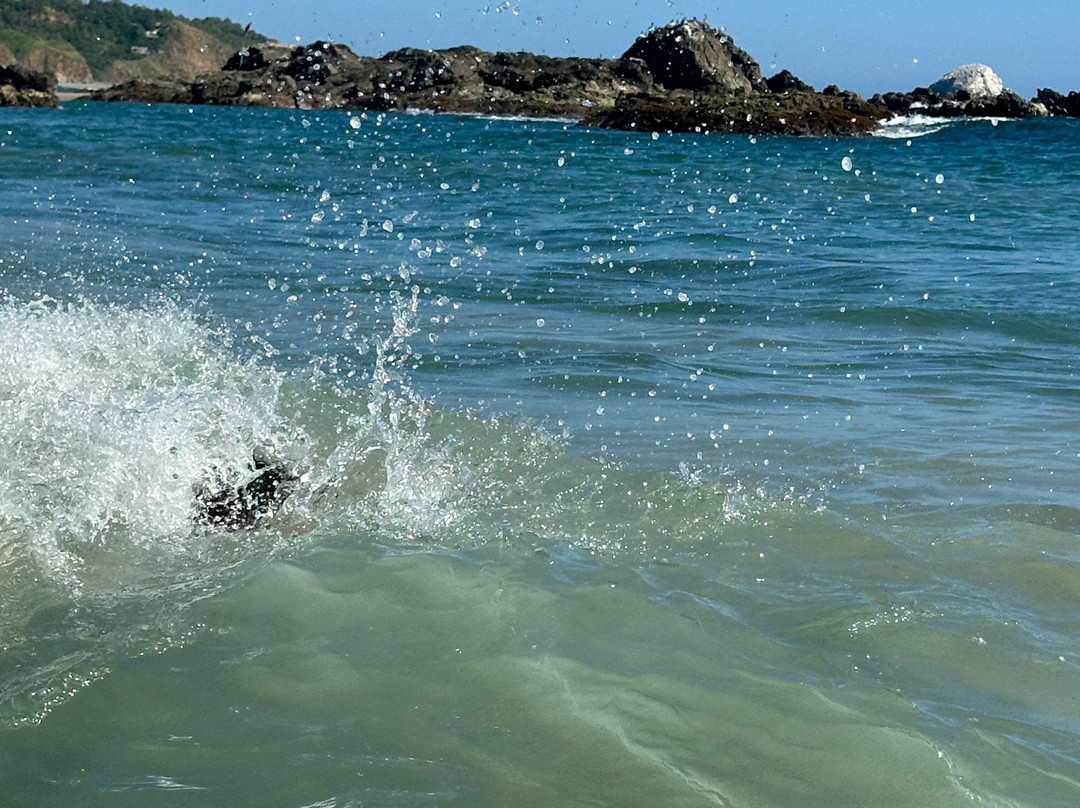 Playa Mazunte-Mazunte必去景点