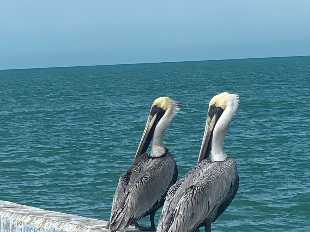 Hotel San Julio主图