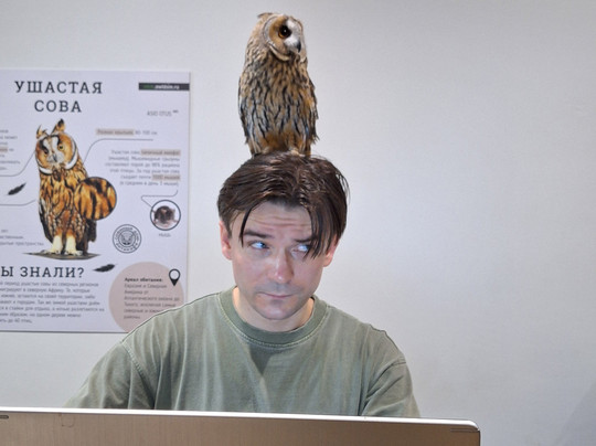 Soviny Dom  Anticafe-莫斯科必去景点