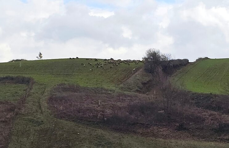 Agriturismo La Rocca Dei Briganti主图