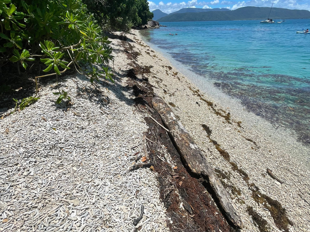 What'SUP Cairns-凯恩斯必去景点