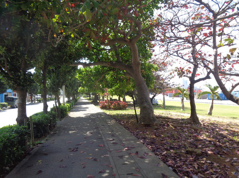 Hirarin Park-宫古岛市必去景点