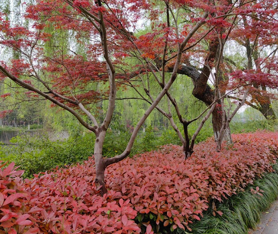 杭州植物园-杭州市必去景点