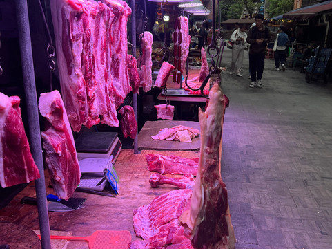 Chongqing Tours-重庆市必去景点