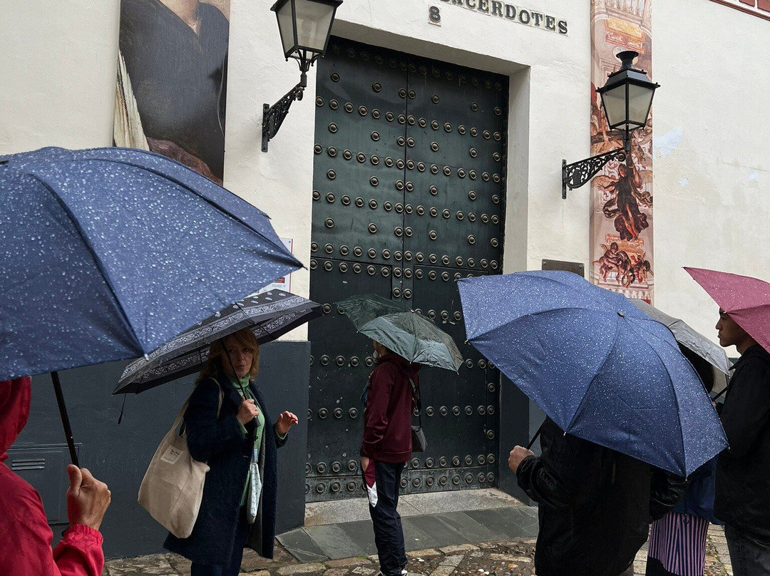 Andalusia Guided Tours-塞维利亚必去景点
