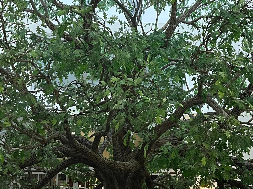 Sauder Heritage Inn主图