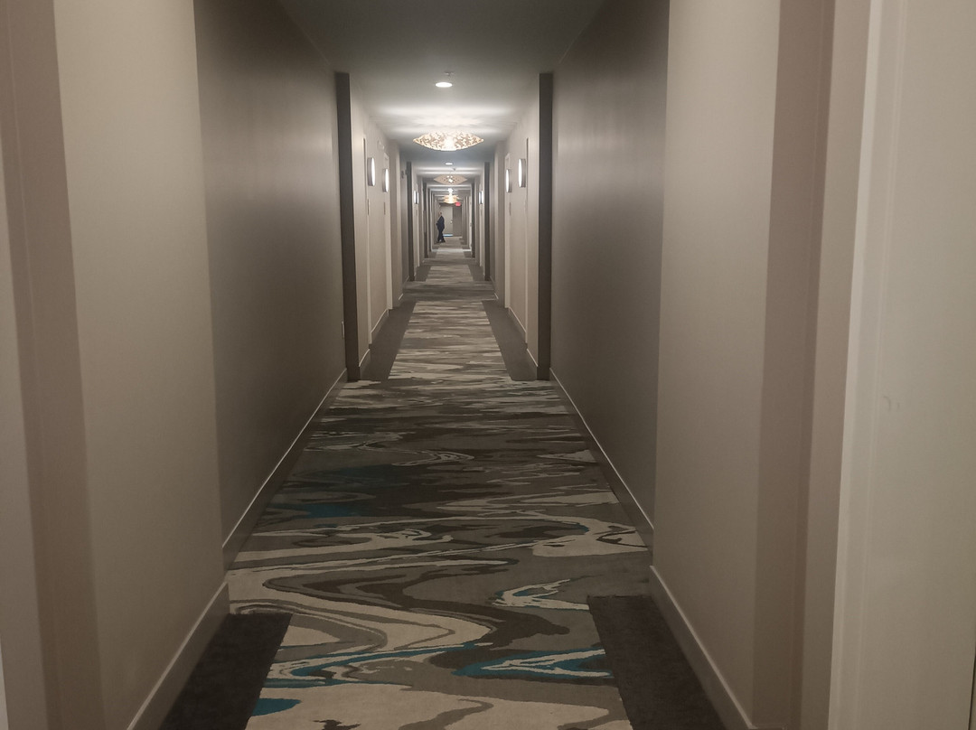 Element Atlanta Buckhead主图