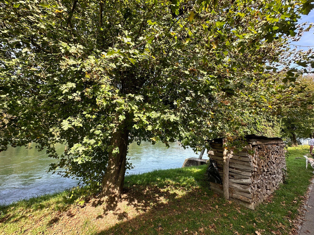 Gasthof zum Schiff主图