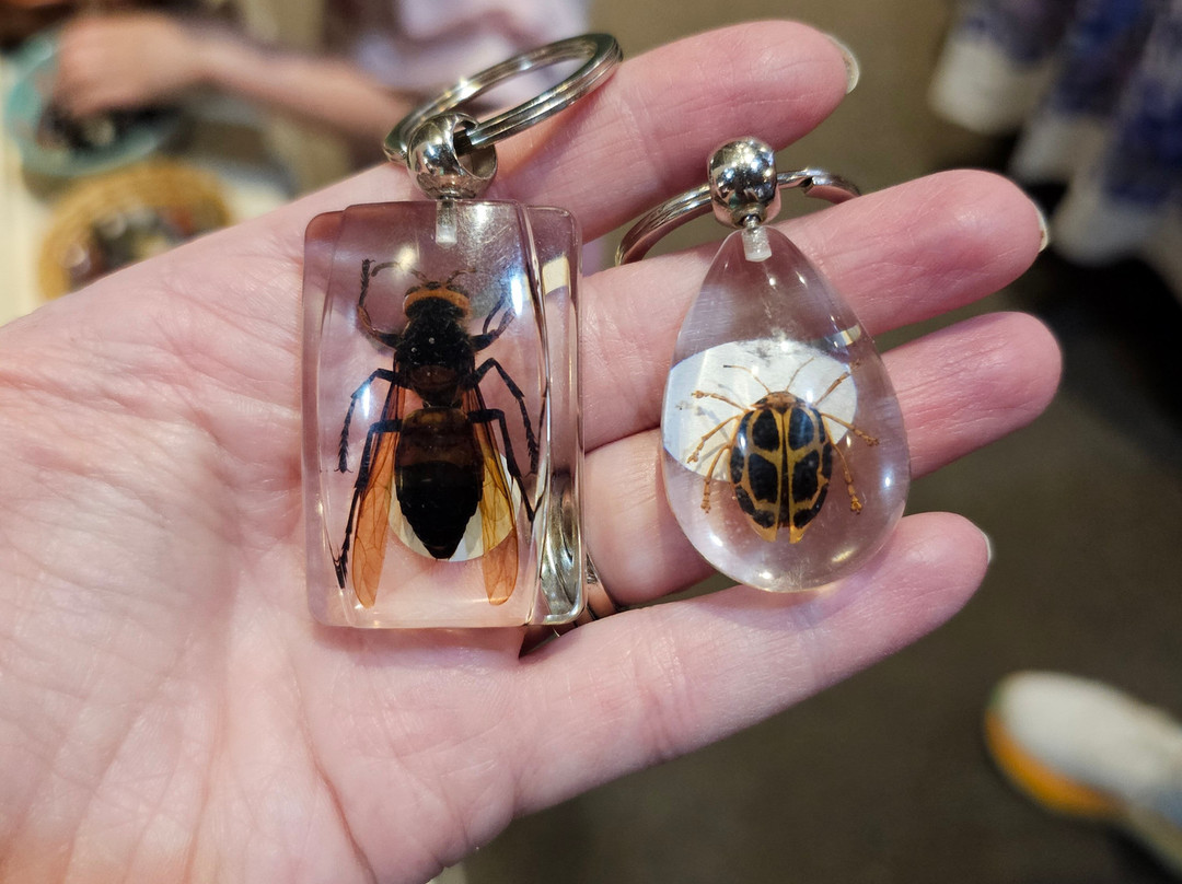 Passageway Gallery-奥马哈必去景点