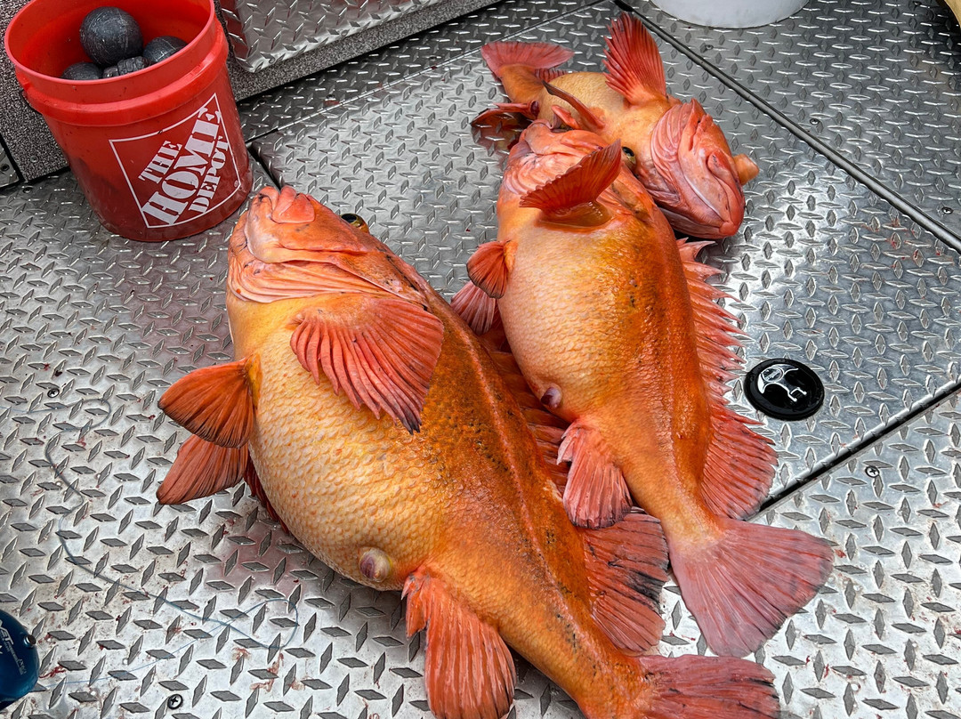 Alaskan Majestic Fishing Charters-Kasilof必去景点