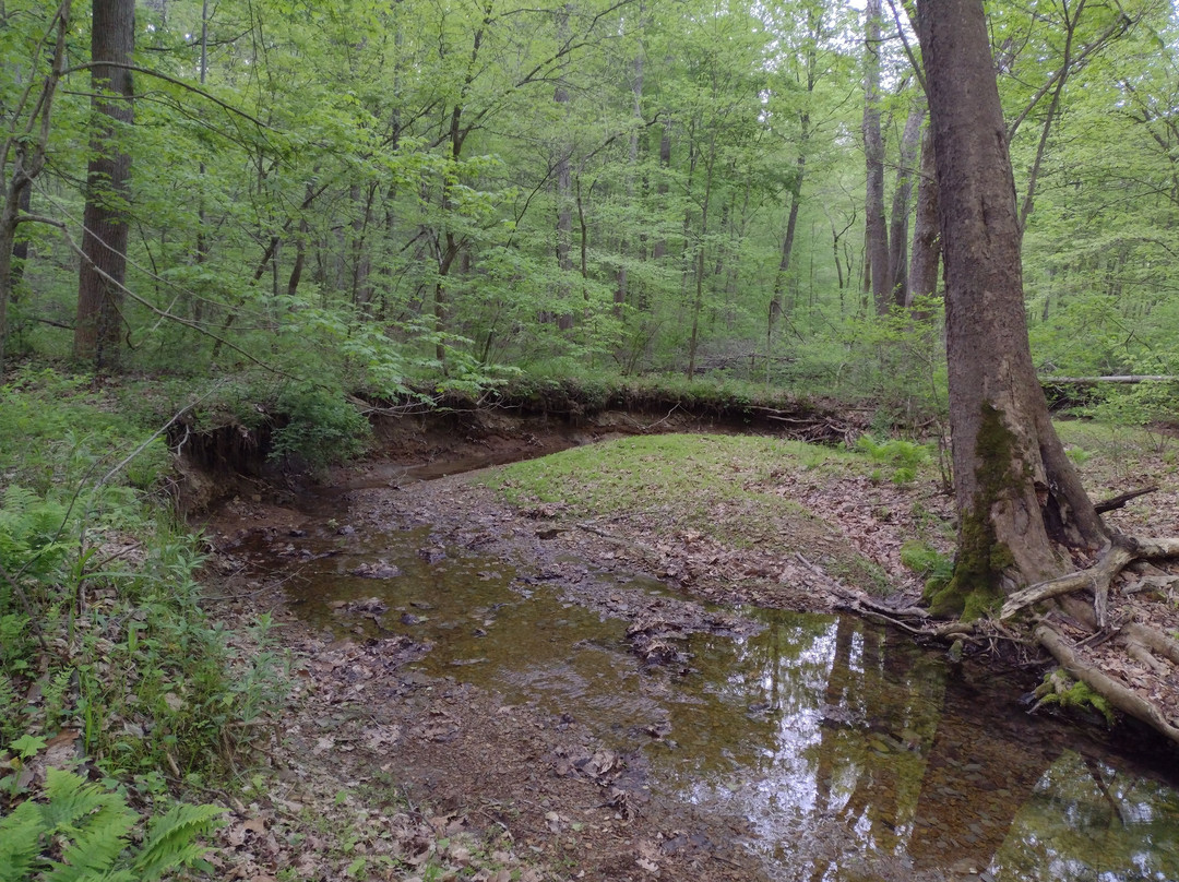 Knobstone Trail-Salem必去景点