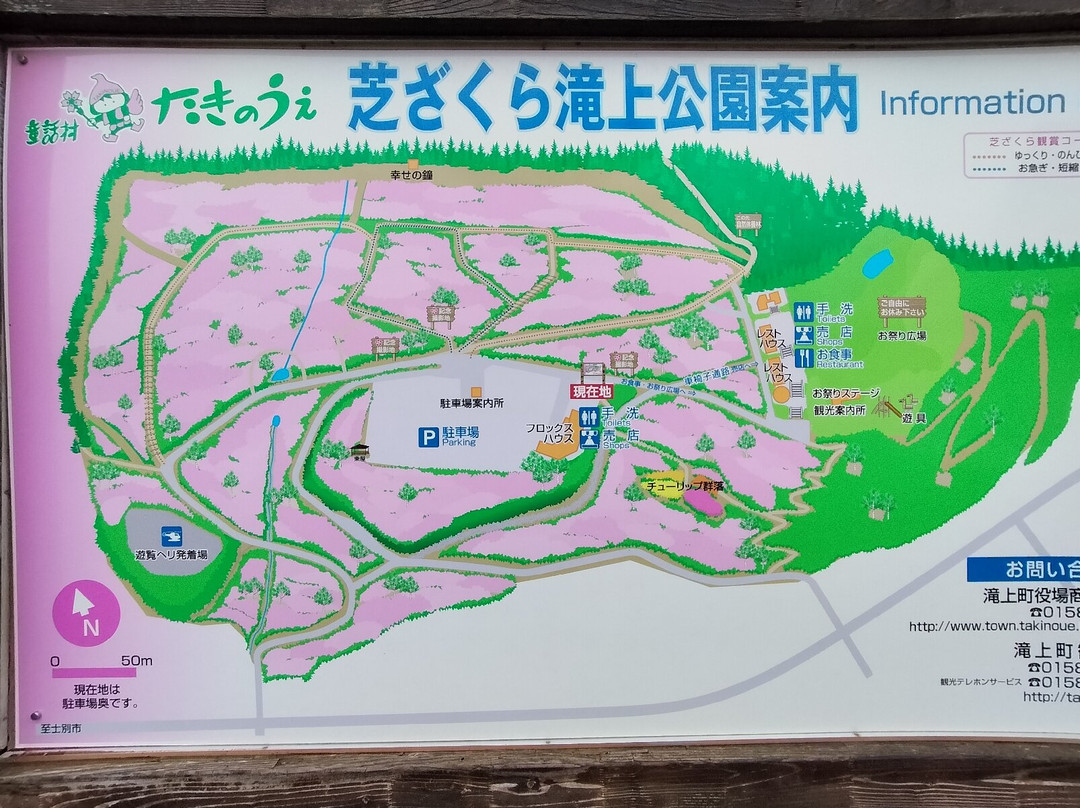 Shibazakura Takinoue Park-泷上町必去景点