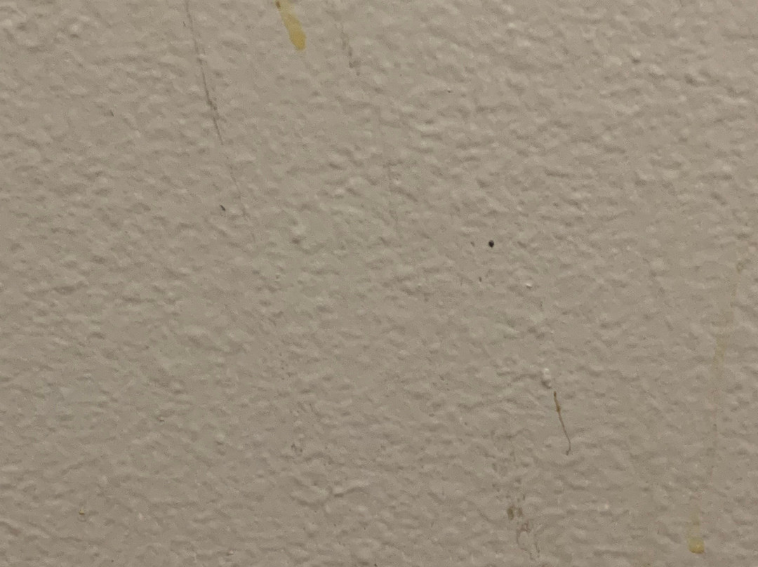 Super 8 by Wyndham Siloam Springs主图