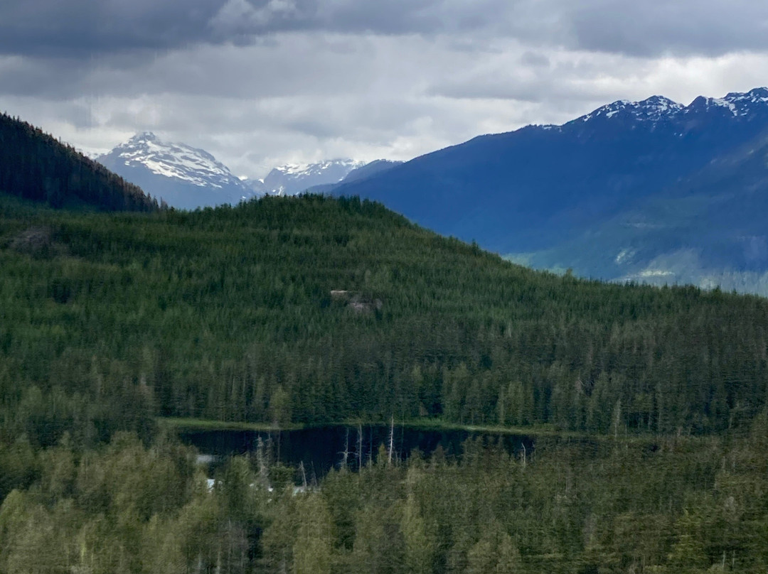 Ancient Cedars Trail-惠斯勒必去景点