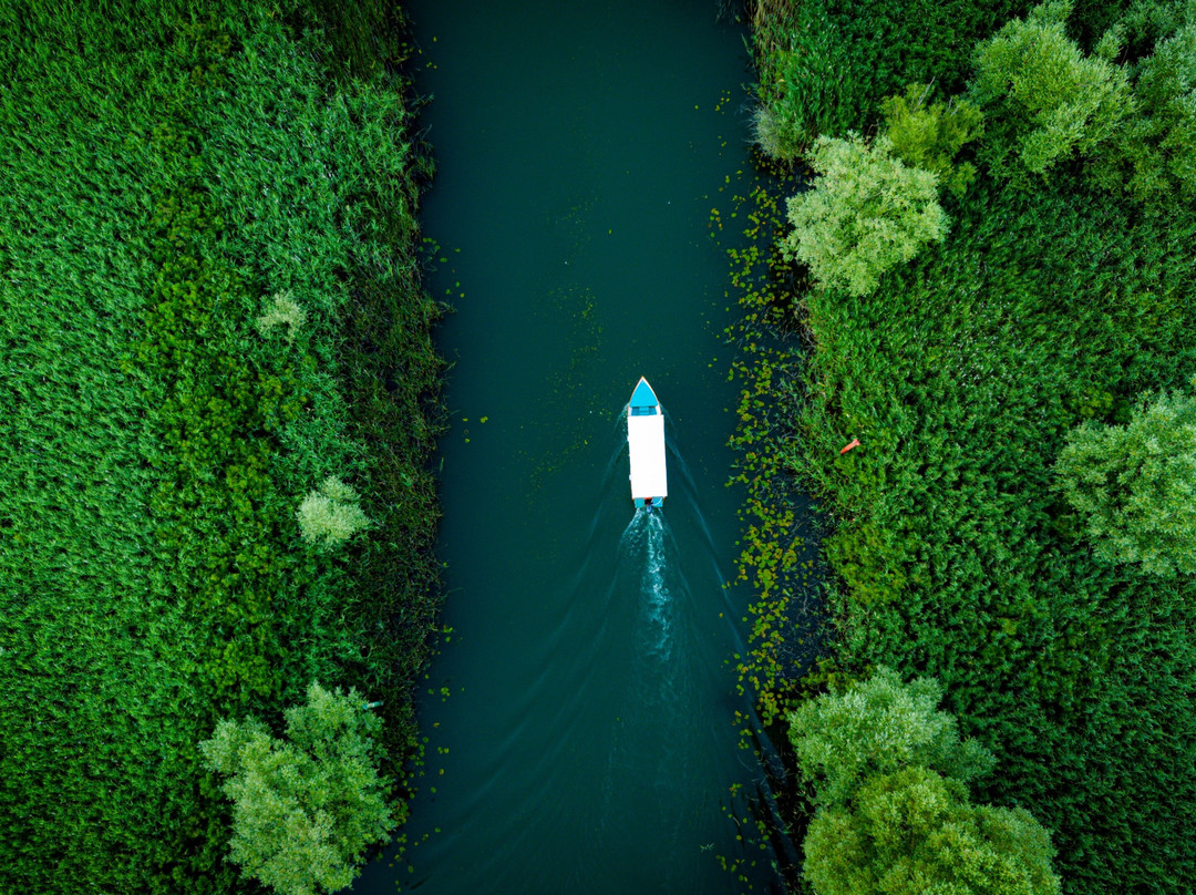 Falcon Boat-维尔巴札拉必去景点