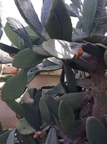 奥贝格旅馆-酒店景观