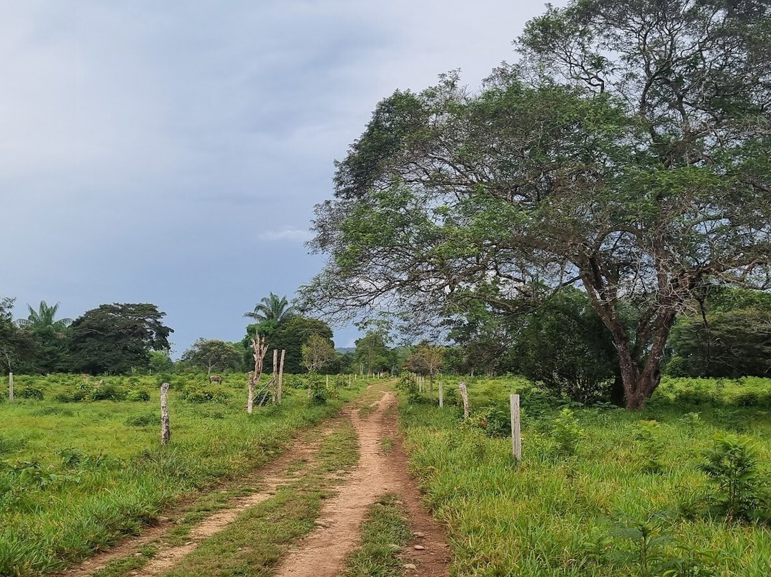 Cristales Aventura Tours-La Macarena必去景点