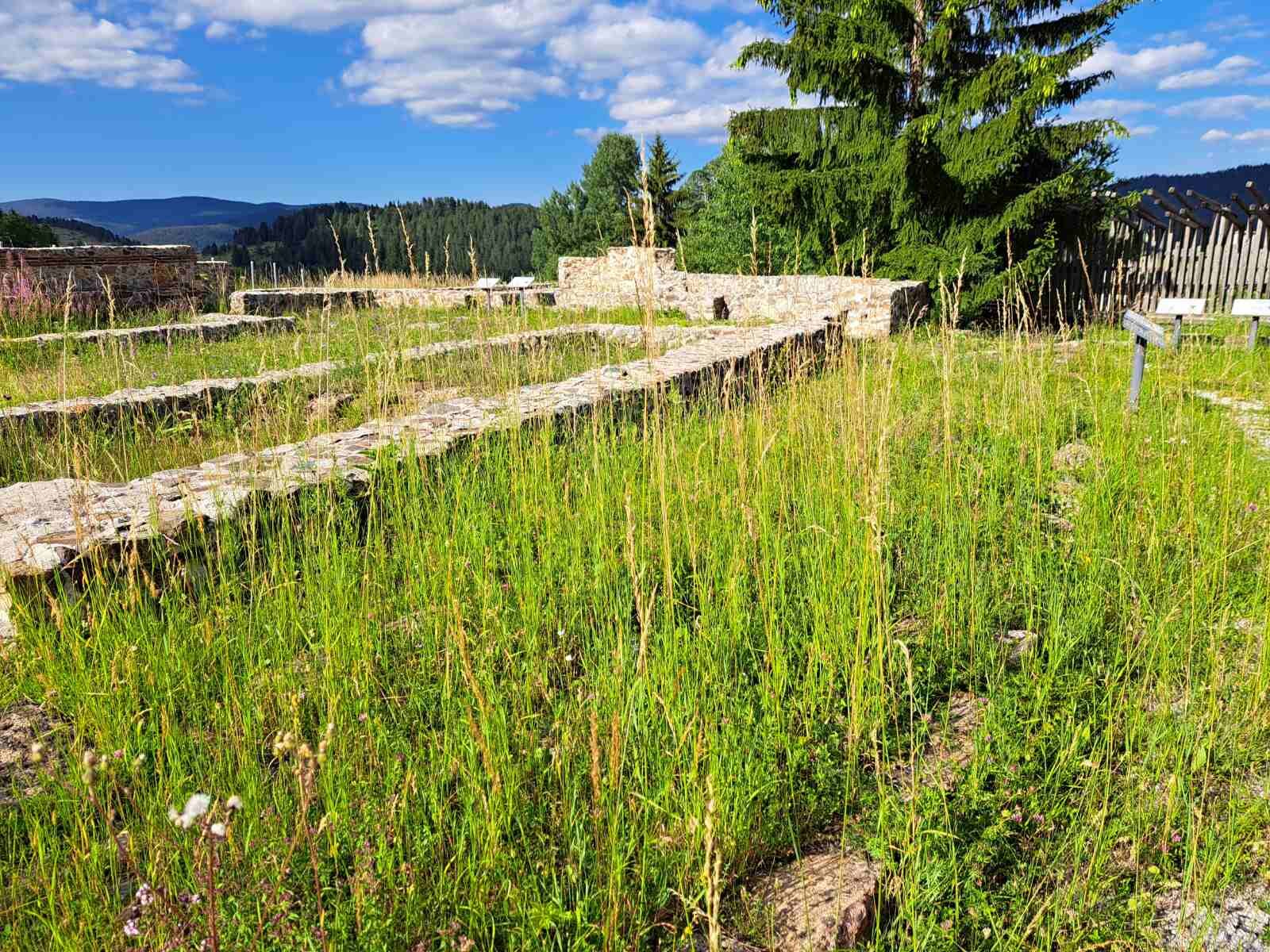 Apart Hotel Kamelia-官方