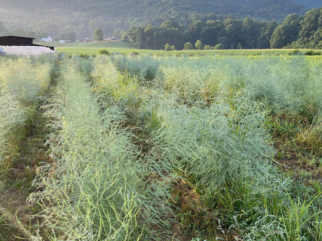 The Ten Acre Garden-Canton必去景点