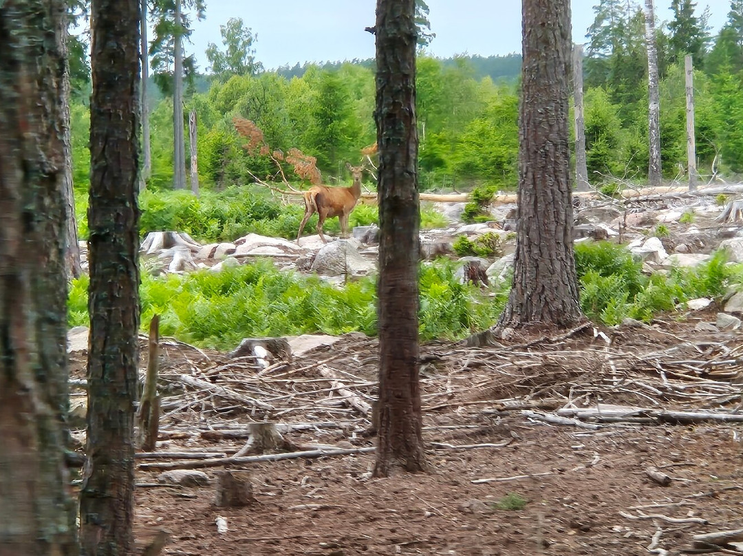 Kosta Safaripark-Kosta必去景点