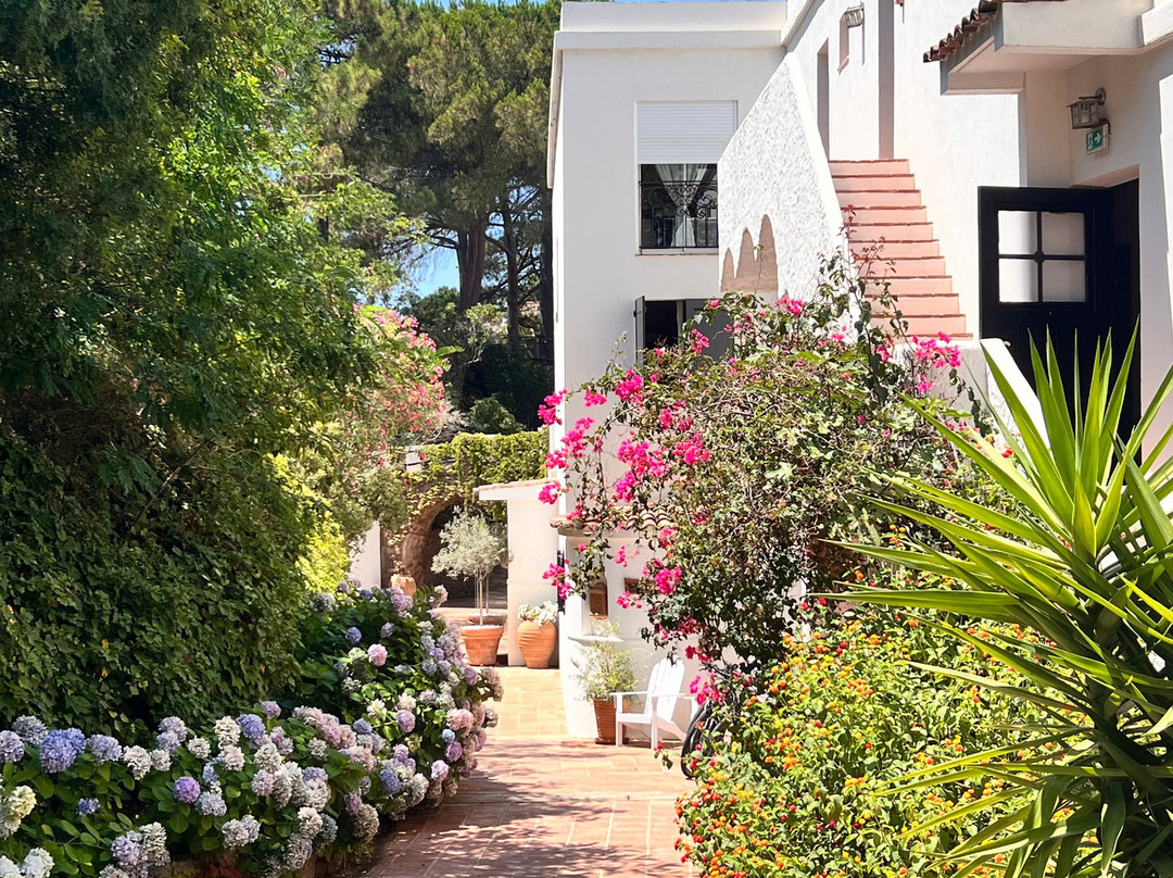 美丽华精品酒店主图