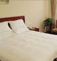 格林豪泰天津滨海新区泰达快捷酒店主图