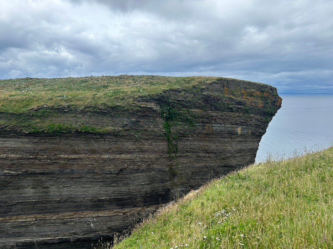 Bell Island Natural Walking Trails景点图片