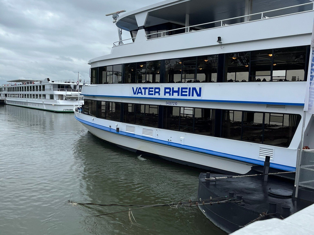 Bingen-Rudesheimer Boat Connection-莱茵河畔宾根必去景点