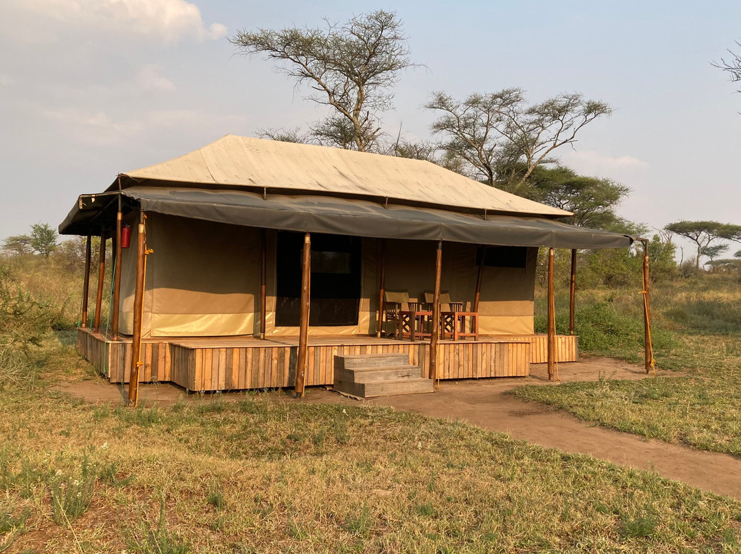 Sopai Safaris-阿鲁沙必去景点