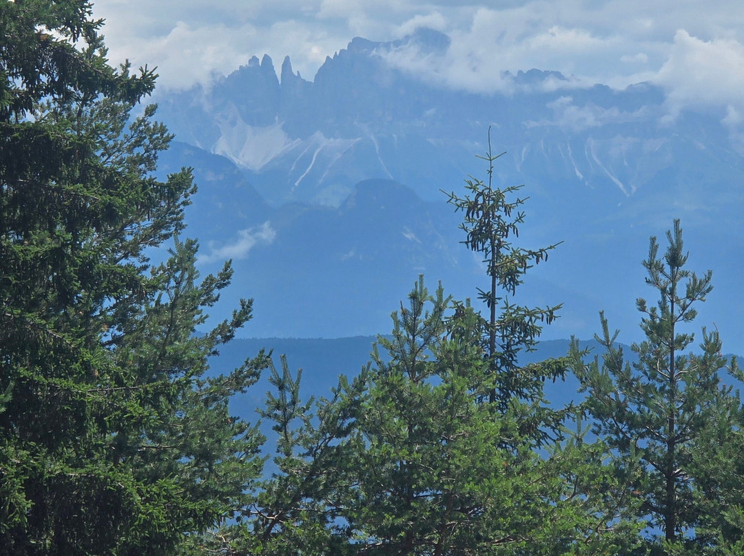 Gasthof Edelweiss主图