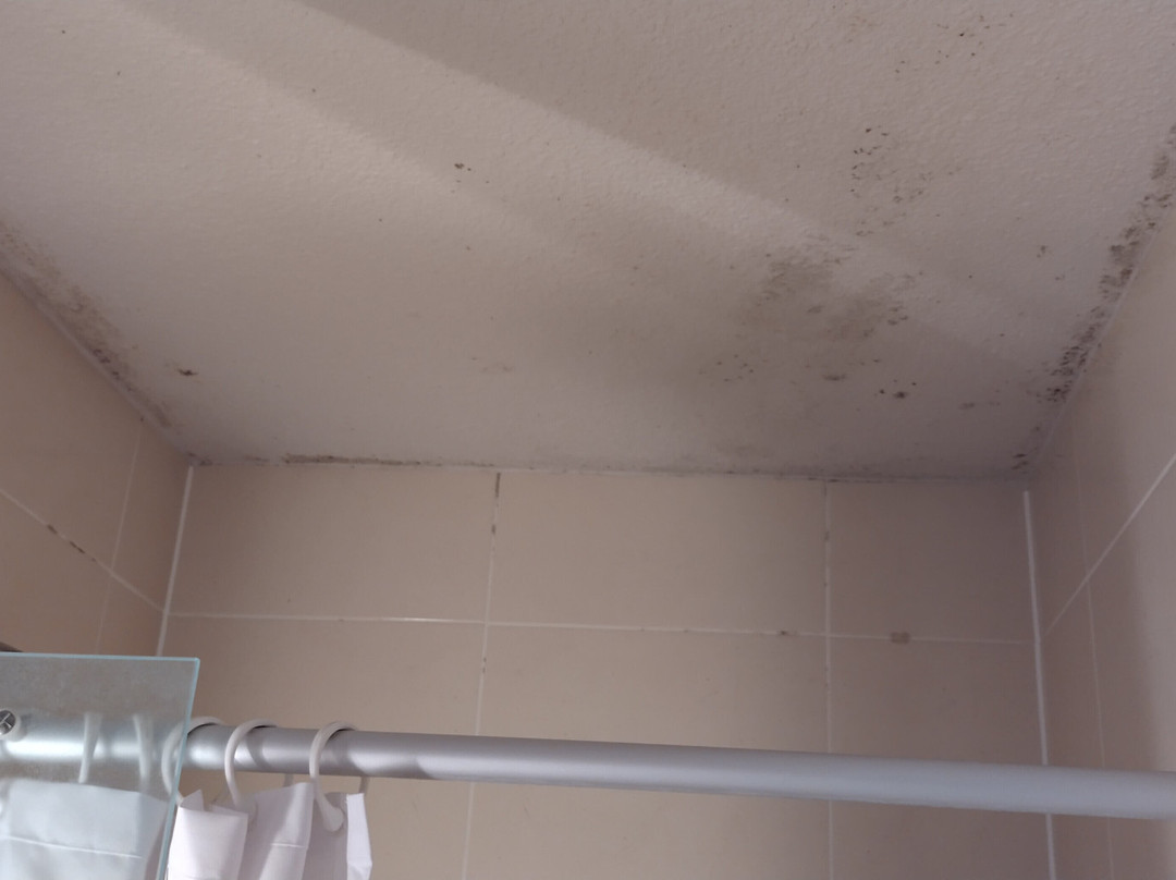 B&B HOTEL Dijon Marsannay主图