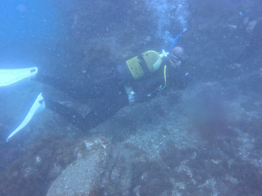 Simply Diving-马贝拉必去景点