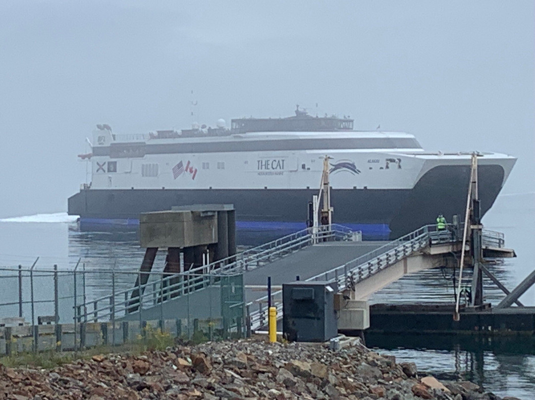 The CAT Ferry-巴港必去景点